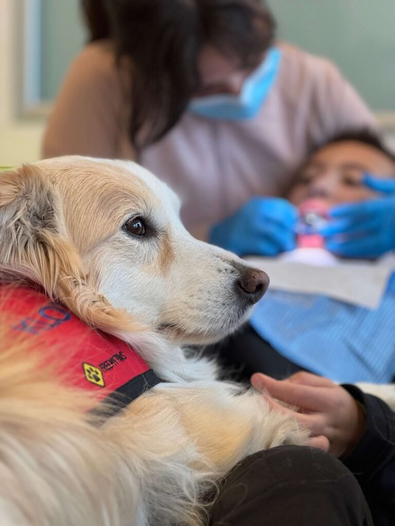 kloy terapia canina dra leiva